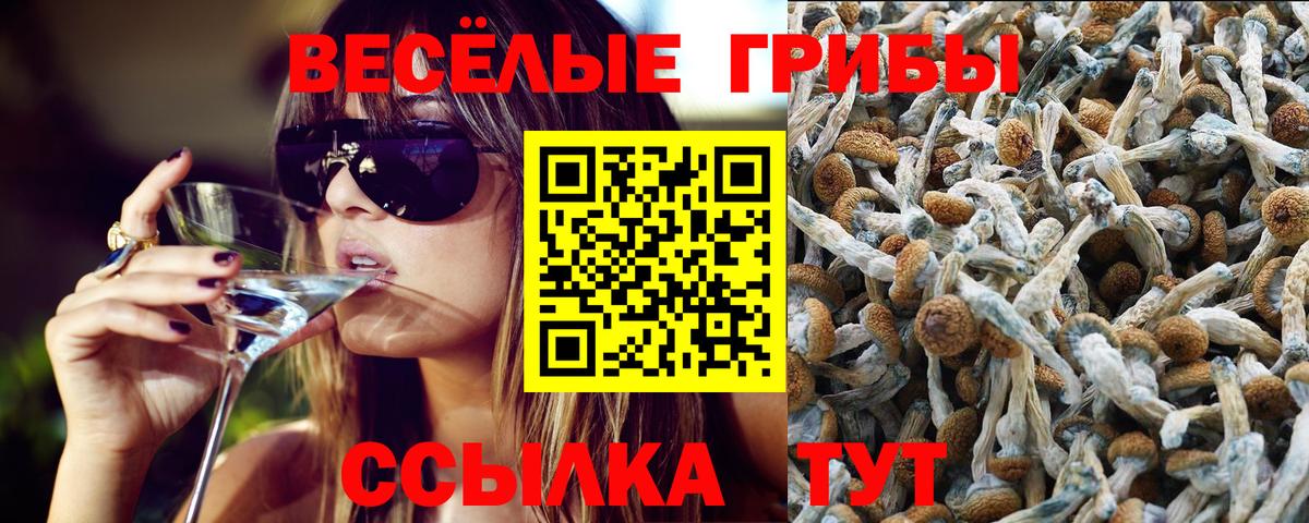 Кольчугино  цены   Вход с VPN  Псилоцибиновые грибы Magic Shrooms 